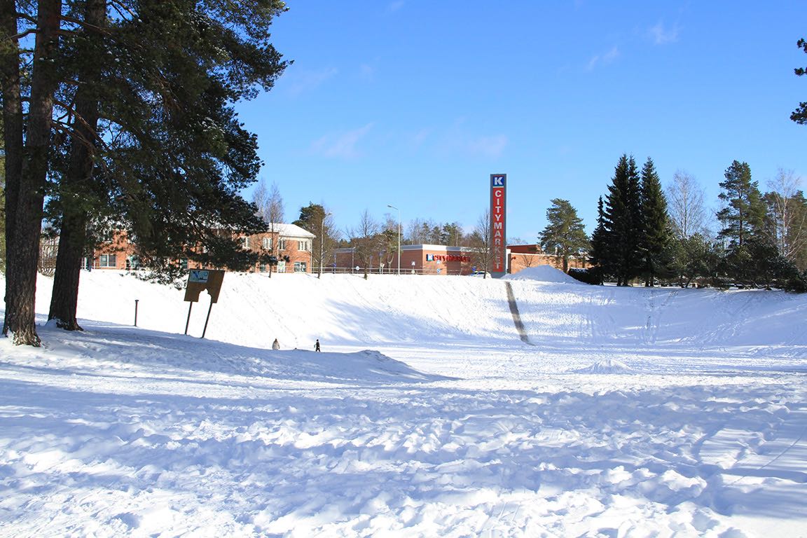 Pajunen_3
